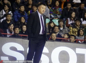 CBA中職籃本賽季四大明星主教練的“雅號”