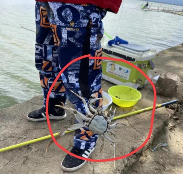 ##2021北京人最美的休閒度假區 臥牛山風景旅遊區##