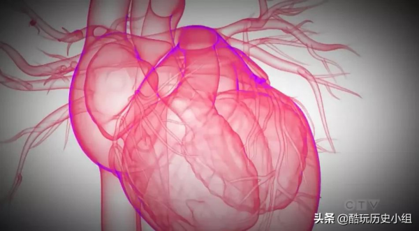 世界首例 加拿大重病女子依靠ECMO產下孩子 醫生稱之為醫學奇蹟