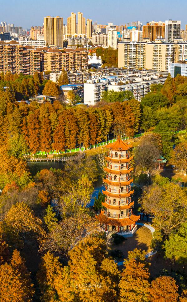 武漢人究竟多愜意?46萬平方米的城市公園猶如森林一般,景色醉人 武漢人究竟多愜意?46萬平方米的城市公園猶如森林一般,景色醉人