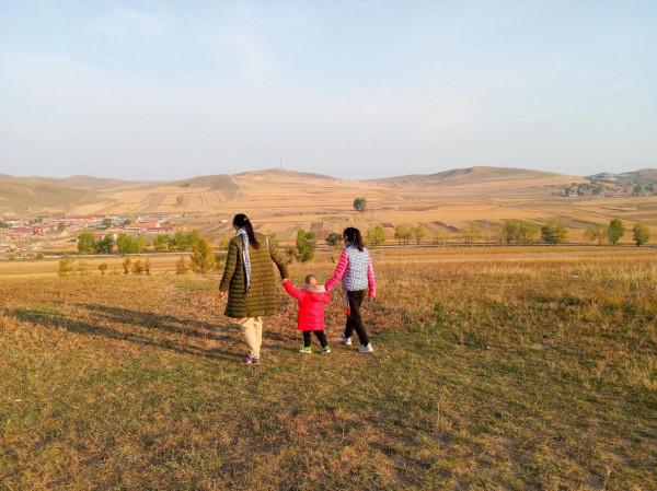 滿目金黃，又想壩上草原了（二）