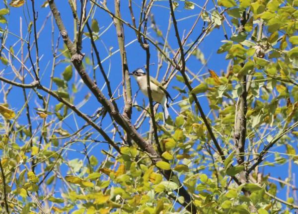 今日北京美圖大賞