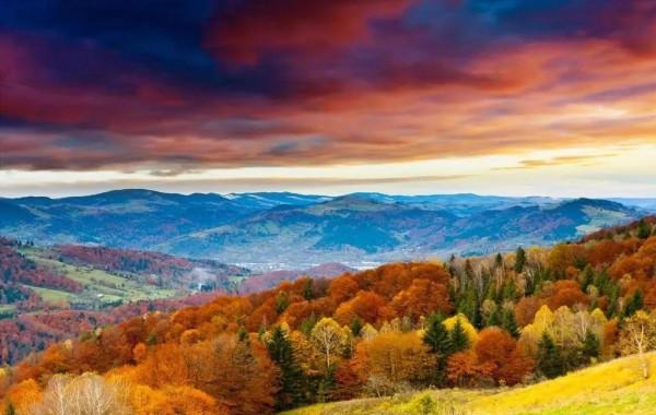 那些最真摯的情,都藏在酒杯深處了 那些最真摯的情,都藏在酒杯深處了