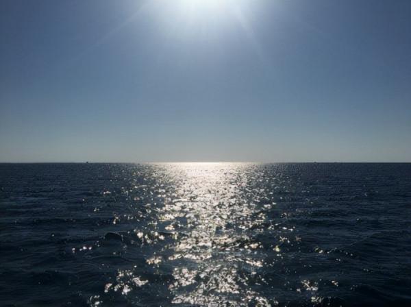 魂牽夢縈，他鄉或許有你的前世