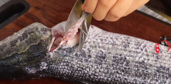 冬天，這魚要多給家人吃，蛋白質比大蝦還高，肉多肥嫩又鮮美