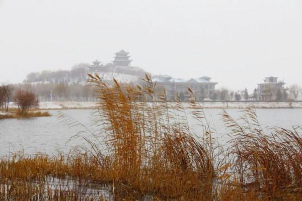 大雪至,寒冬到,臨澤給你一點";暖";~ 大雪至,寒冬到,臨澤給你一點";暖";~