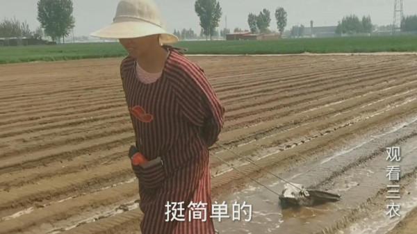 種植大姜的正確方法和步驟 種植大姜的正確方法和步驟