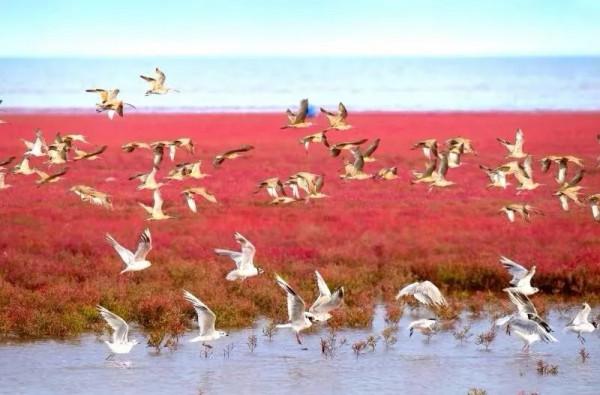 青松城·好享遊 | 這15條路線，值得你踏遍祖國萬千河山