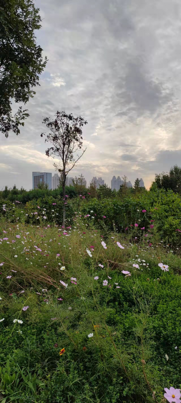 北京五大水系之一平谷洳河兩岸風光美如畫 北京五大水系之一平谷洳河兩岸風光美如畫