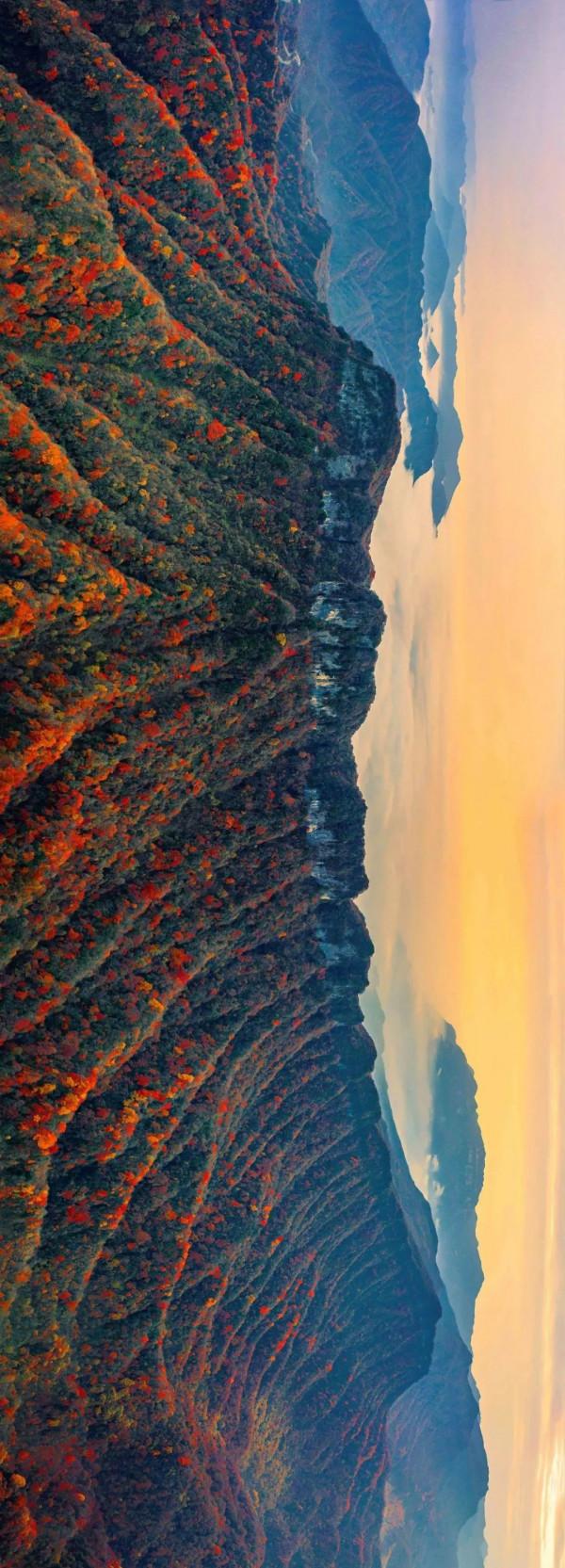 成年人玩得這麼野，小心把命都玩丟了