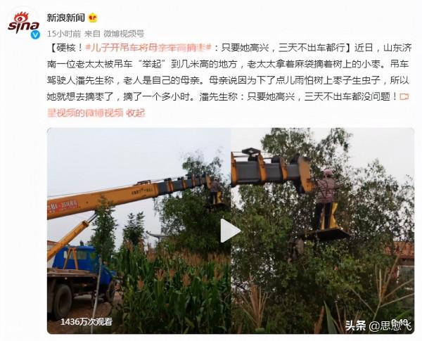 兒子讓母親站在吊車上摘棗惹非議，是孝順還是炒作