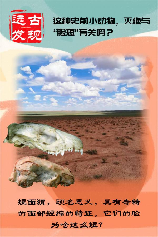 遠古發現丨這種史前小動物，滅絕與“臉短”有關嗎？