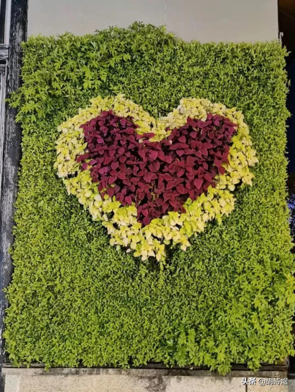 拈花一笑不負卿,只是未到恰當時 拈花一笑不負卿,只是未到恰當時