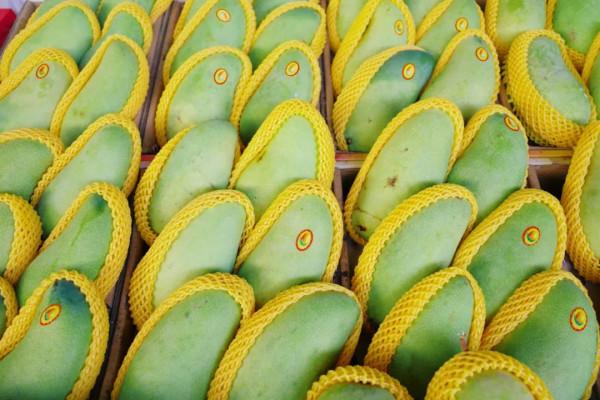 在這裡我毫不焦慮，還實現了水果自由