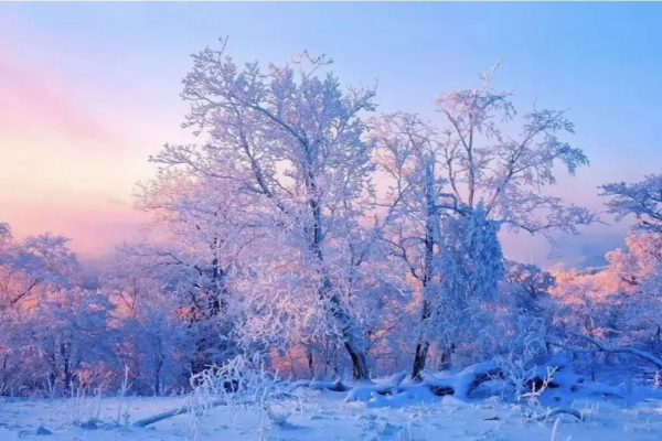美到不像人間！憑實力驚豔外媒，最夢幻的雪域，旅行者此生必去