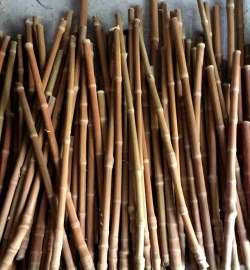 “玉竹”製作實操手冊,教你做到好玩又省錢 “玉竹”製作實操手冊,教你做到好玩又省錢