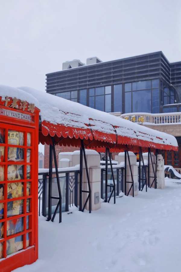 海馬人的朋友圈美爆了！戳進來，看看雪後海馬有多美