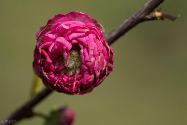 人與人之間,真正舒服的關係是:不越界 人與人之間,真正舒服的關係是:不越界