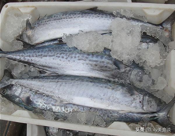 秋天,有錢沒錢,這5種海魚多給孩子吃,DHA含量高,孩子頭腦聰明 秋天,有錢沒錢,這5種海魚多給孩子吃,DHA含量高,孩子頭腦聰明