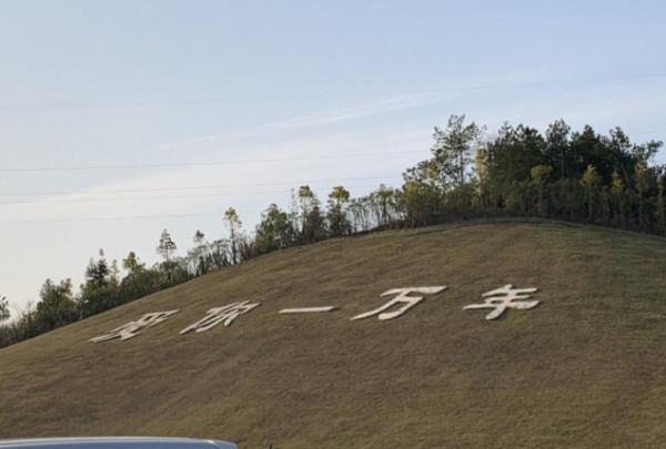 19歲的少年溫成龍,身邊女友不斷,他是怎樣走到不歸路的? 19歲的少年溫成龍,身邊女友不斷,他是怎樣走到不歸路的?