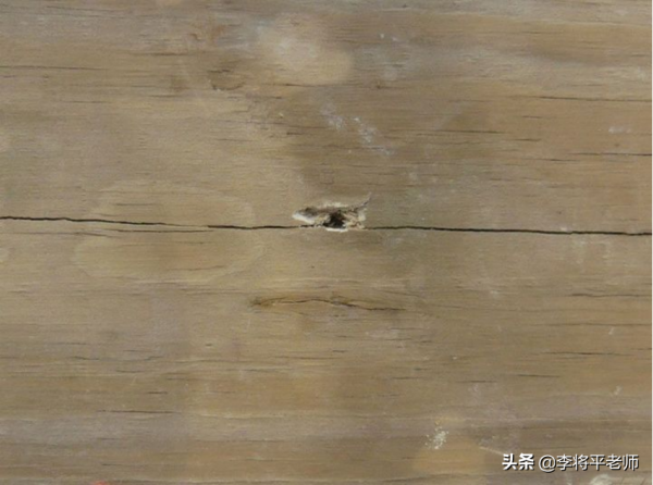 溼棉被擋子彈，抗日神劇是胡編的嗎？真槍實彈做個試驗看結果