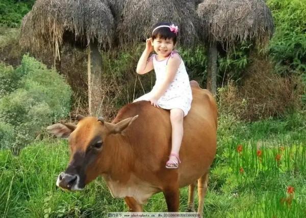 微言細語說說人：鄉下老農有才又幽默