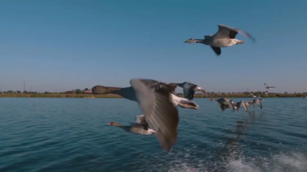 旅遊月曆 | 11月,給你點暖 旅遊月曆 | 11月,給你點暖