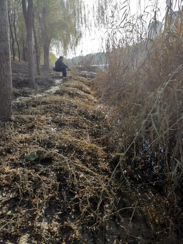 [十週年亅艱難釣魚路,我用妙招撬開鯽魚口 [十週年亅艱難釣魚路,我用妙招撬開鯽魚口