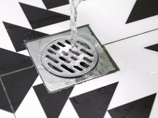 衛生間有蟲子怎麼辦?只需用這4個方法,輕鬆去除蟲子 衛生間有蟲子怎麼辦?只需用這4個方法,輕鬆去除蟲子