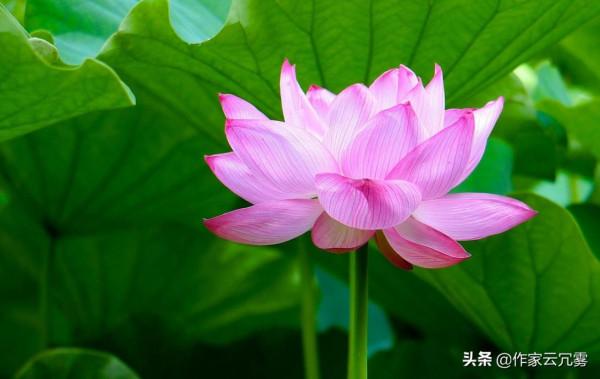 漫談陪伴：意義、方式和價值認同感