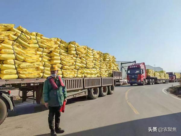 冬儲春銷肥價是漲還是跌? 冬儲春銷肥價是漲還是跌?