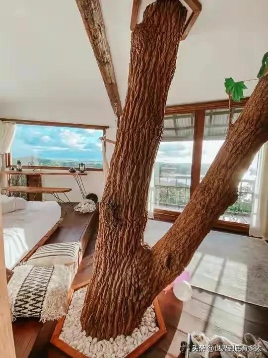 50張照片，帶你見識日本，不為人知的另外一面