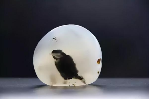 高價成交的66方奇石欣賞