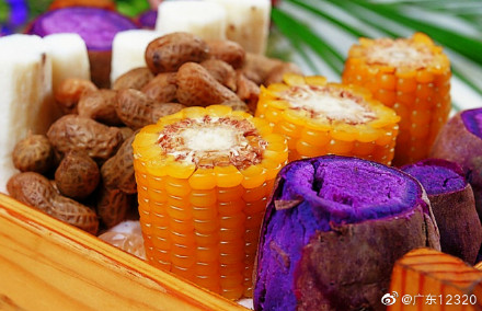 夏季飲食注意——魚肉粗糧不能少 夏季飲食注意——魚肉粗糧不能少