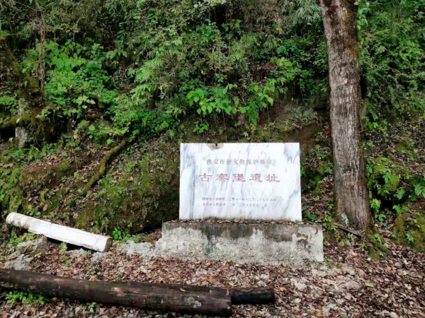 2021年深秋旅行遊記四 2021年深秋旅行遊記四