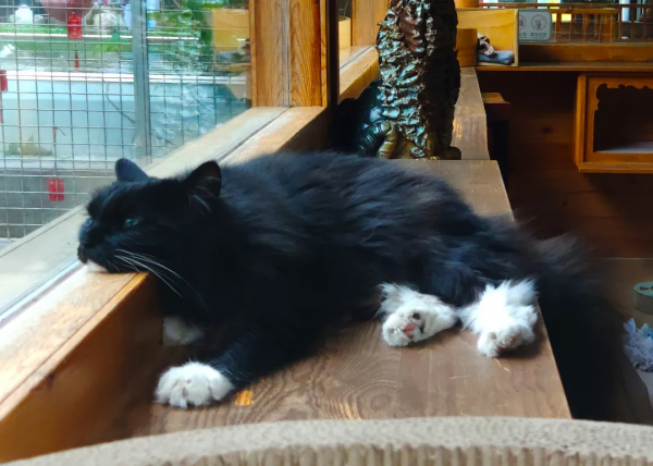 小甜妞兒喜歡硬枕頭