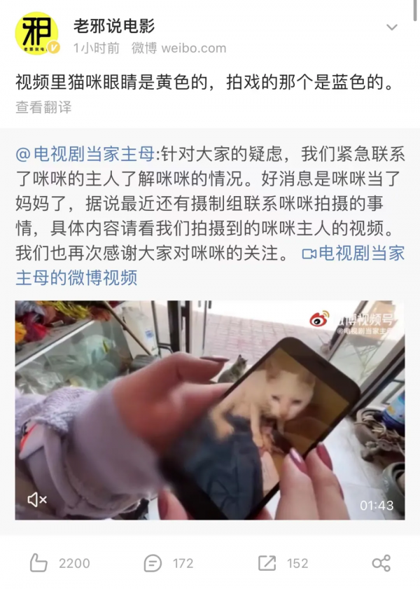 一隻貓，讓《當家主母》的評分一降再降