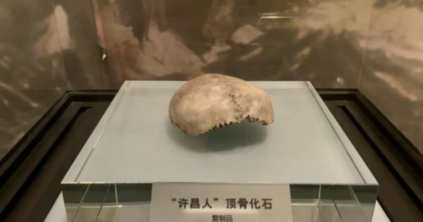 “夏娃理論”遭質疑，人類並非起源於非洲？中國發現的化石是關鍵