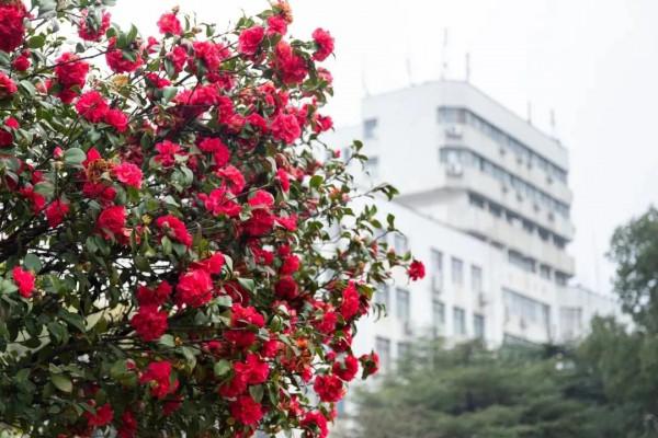 美麗的湖南科技大學