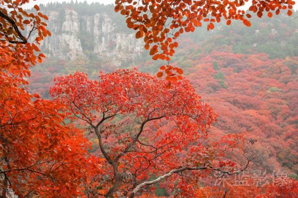 石門坊最美紅葉 石門坊最美紅葉
