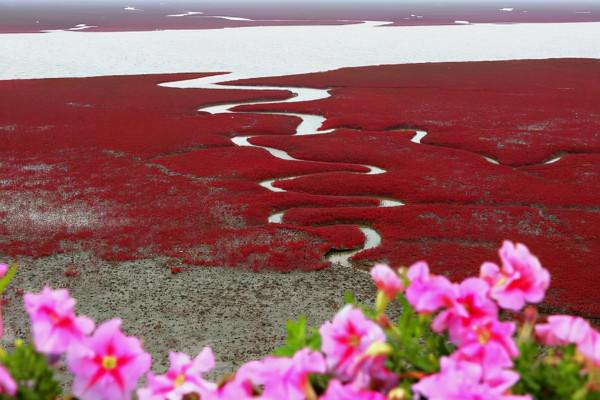 國慶賞秋該去哪?遼寧這6處景點千萬不能錯過,個個不輸北京香山 國慶賞秋該去哪?遼寧這6處景點千萬不能錯過,個個不輸北京香山