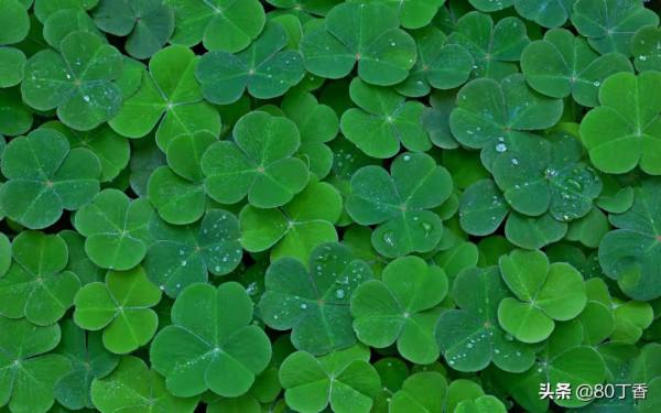 誰是你的小幸運