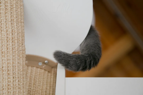 朵公主的可愛暴擊，你準備好了嗎