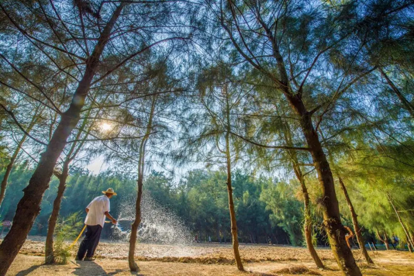 秋天的東山島,用色彩來感知 秋天的東山島,用色彩來感知