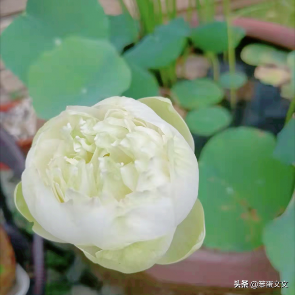 獨處是自我的豐富(二) 獨處是自我的豐富(二)