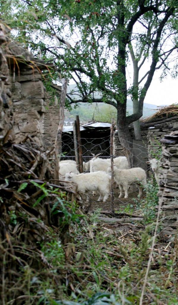《平凡的世界》電視劇雙水村拍攝地