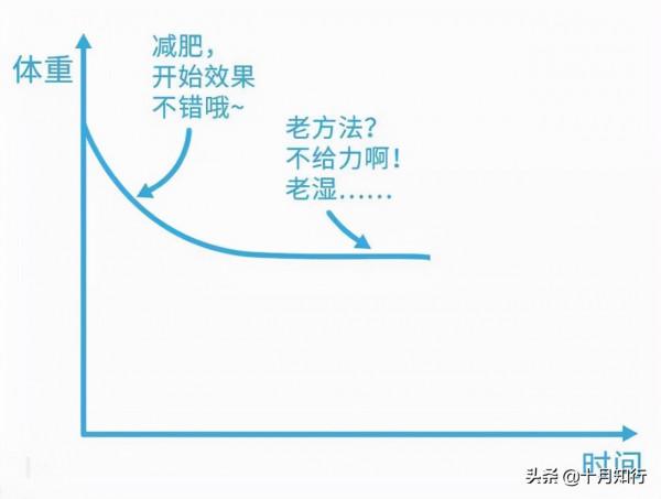 什麼是平臺期，減肥為什麼會出現平臺期，如何儘快突破？