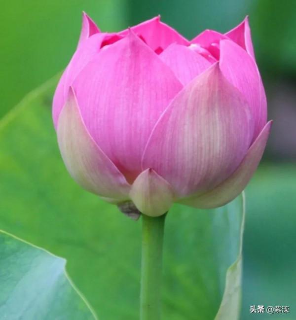 故事《面具》,如果面具有了自己的意識 故事《面具》,如果面具有了自己的意識