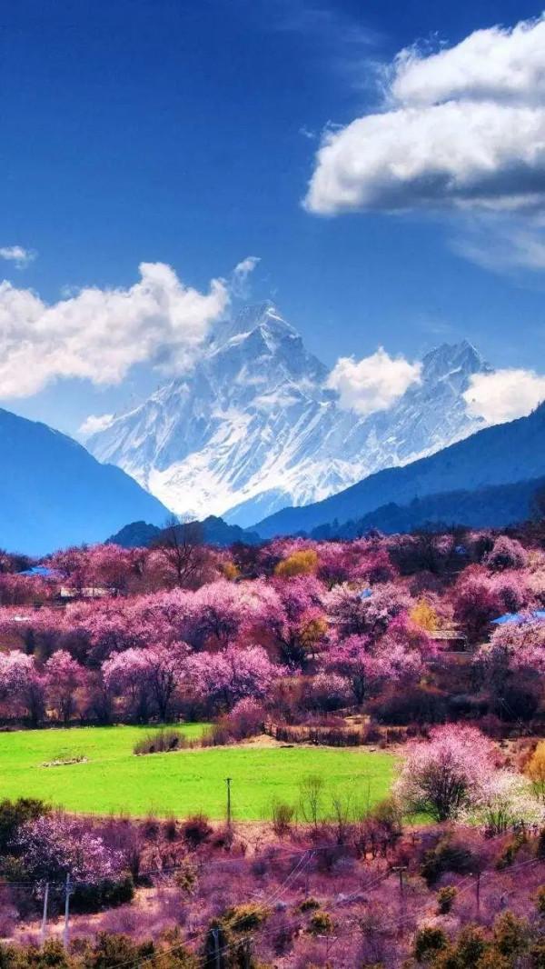 60歲前必去的35個地方，去過15個才不枉此生，你去過幾個？