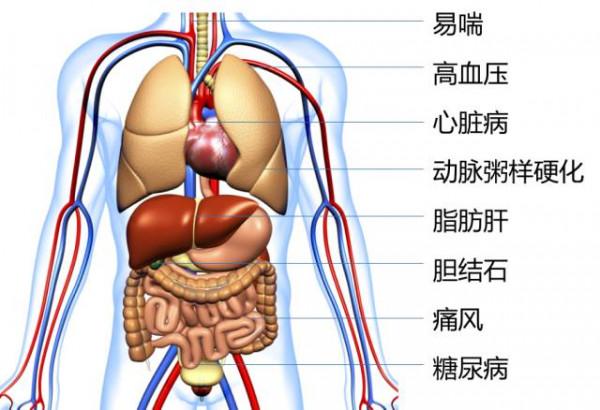 這些素菜看似健康，其實，每吃一口都在讓你長胖